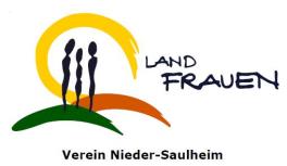 Logo LFV Nieder-Saulheim 2013